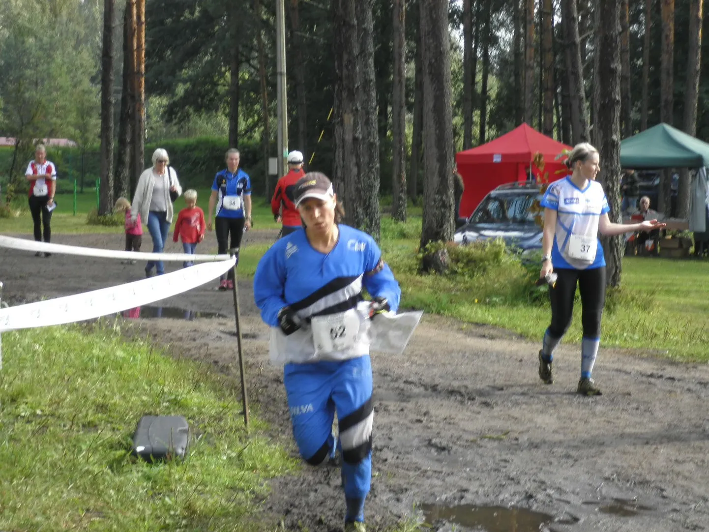 Eveli Saue