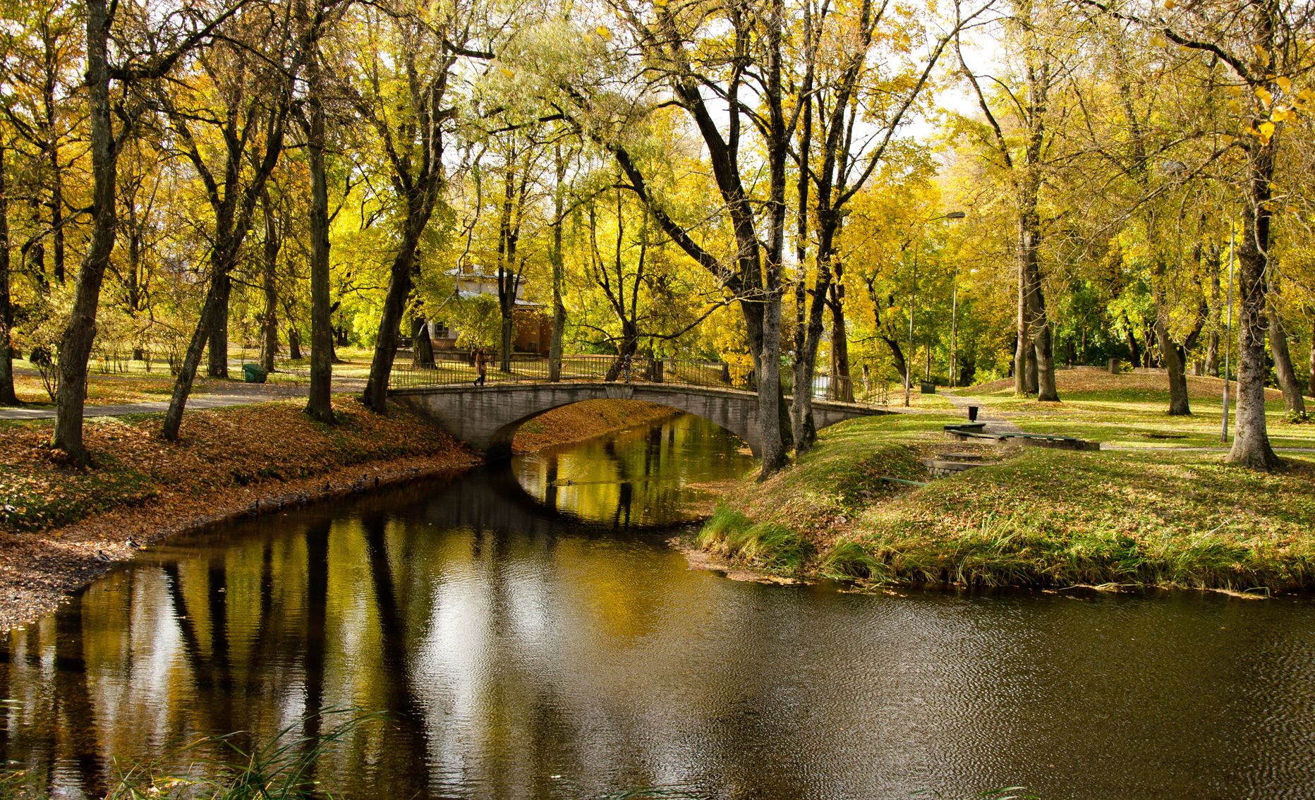 Jelgavas pils parks rudenī.
