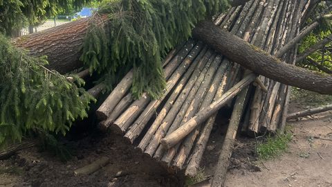 FOTOD ⟩ Pikali prantsatanud haab purustas lasteaia hoovis püstkoja
