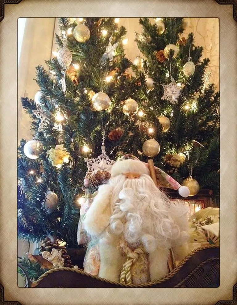 Artikli foto