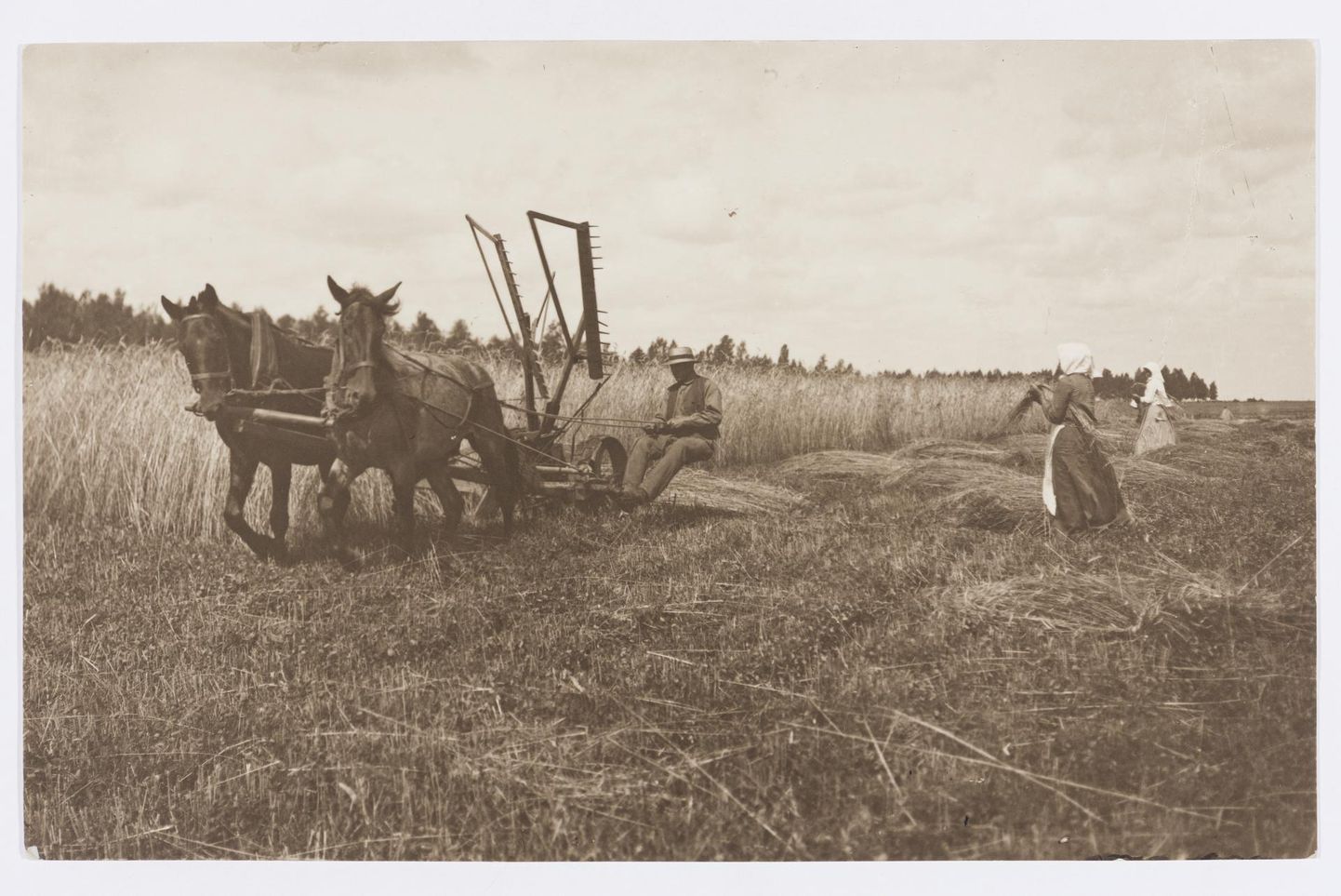 Vennad Parikased on jäädvustanud viljalõikuse aastal 1927.