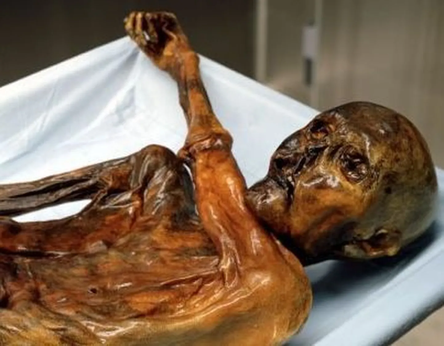 Jäämees Ötzi