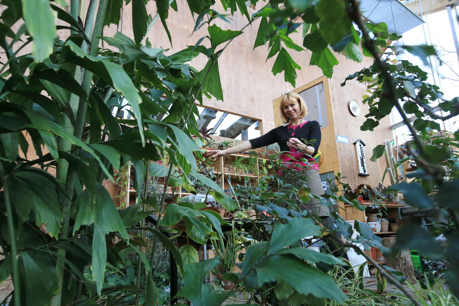 Tartu loodusmaja juhataja Janika Ruusmaa võib rahul olla, sest tubli tööga on suudetud nii töötajatele kui külastajatele luua igas mõttes roheline keskkond.