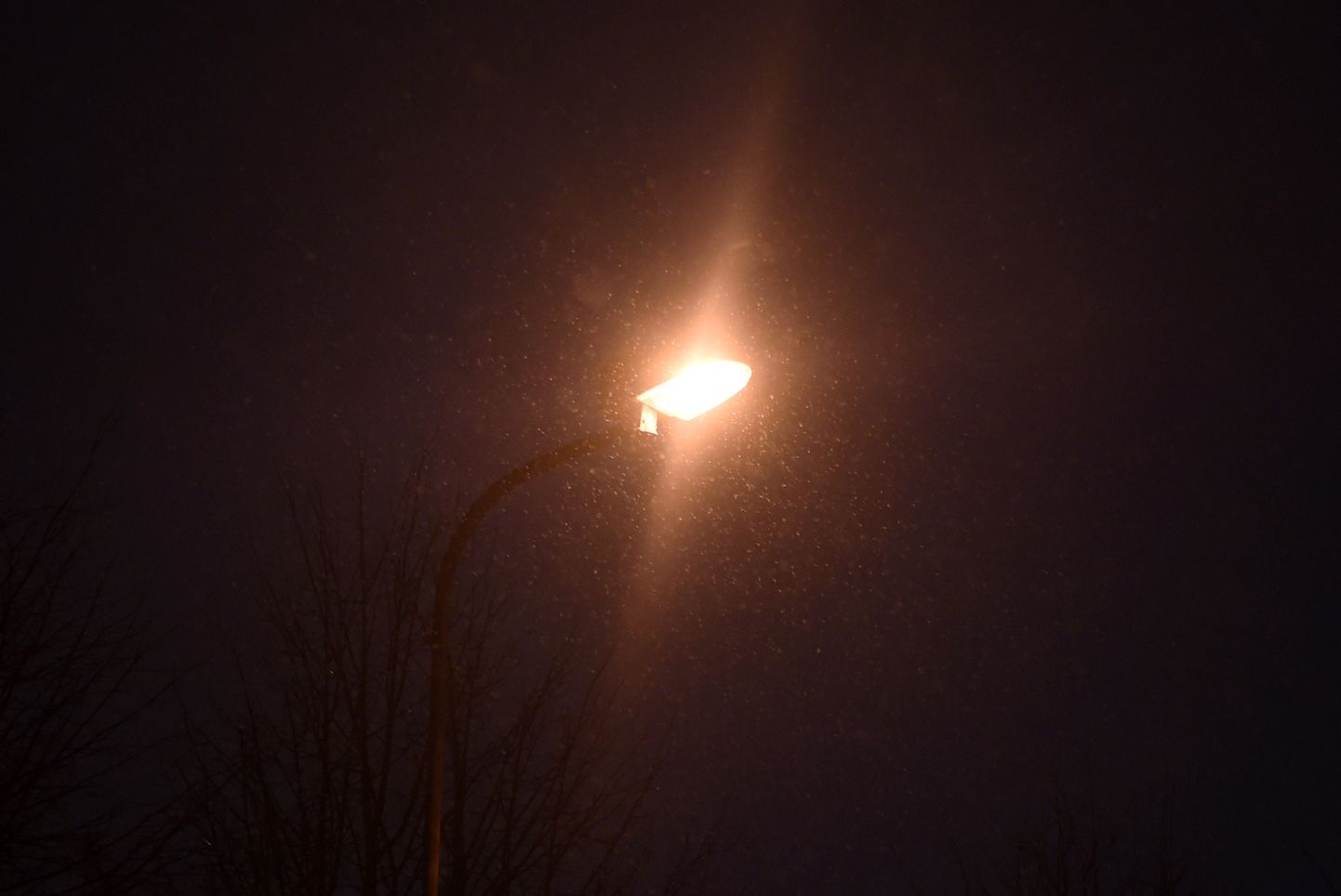 Фонарь зимней ночью; иллюстративное фото