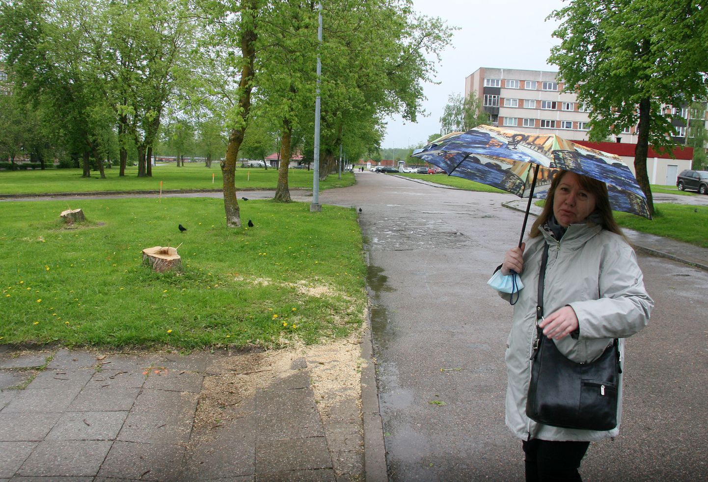 "Iga puu on linnas suur rikkus," nörritas Marina Tšernobaid kõige rohkem teadmatus, mis saab ülejäänud paarikümnest puust.