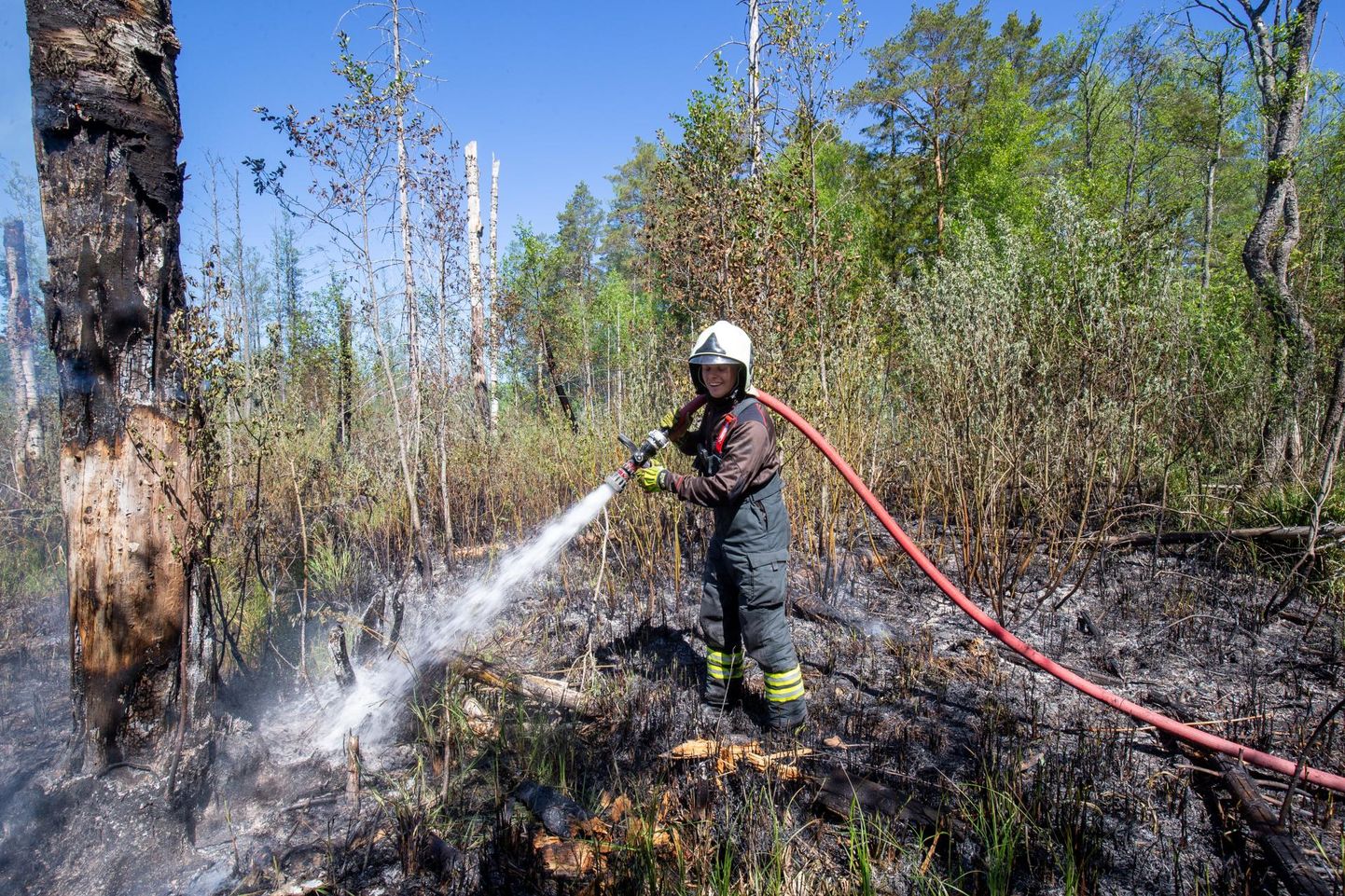 Viljandimaal Mulgi vallas Sudiste külas põles mets. Tulele õnnestus paari tunniga piir panna.
 