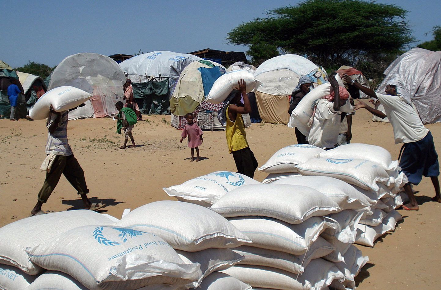 Somaalias tapeti ÜRO toiduabiprogrammi (WFP) töötaja.