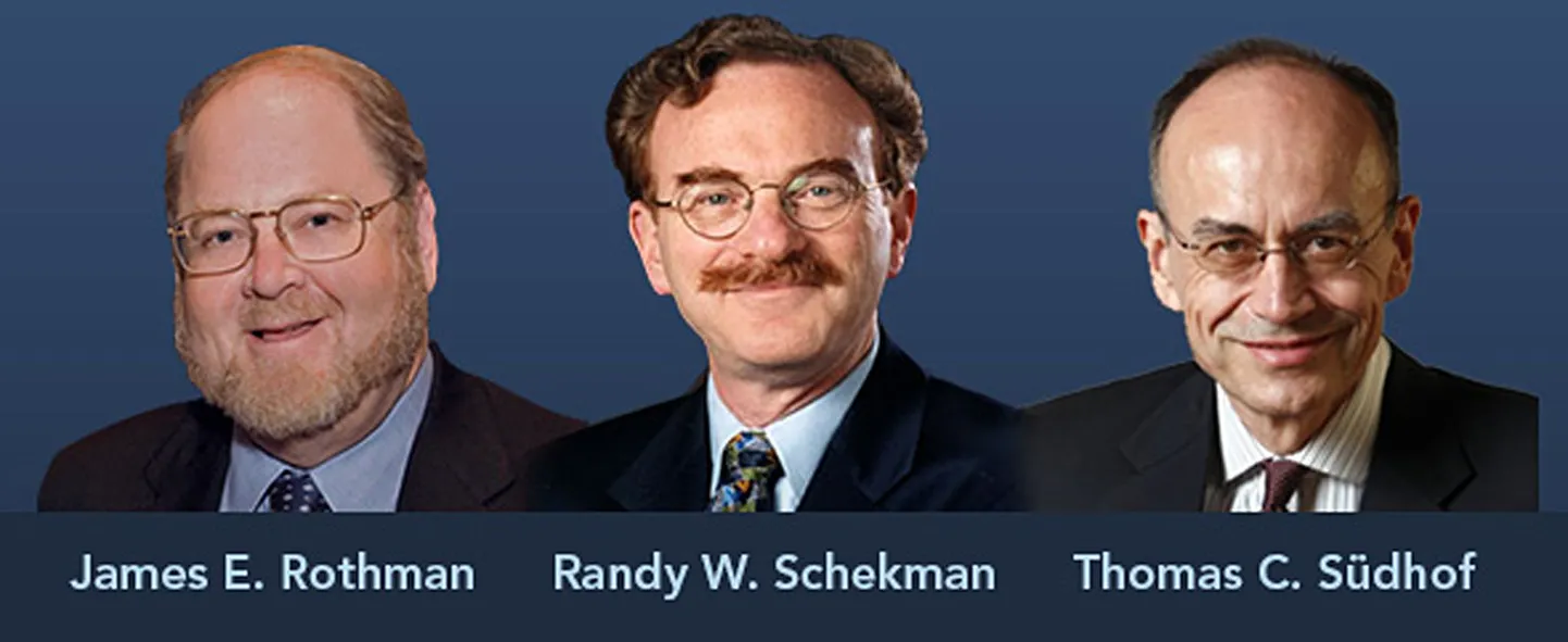 A screenshot taken from the Nobel Prize Medicine Website shows photos of (LtoR) James E Rothman from the US, Randy W Schekman from the US and Thomas C Suedhof from Germany, all joined winners of the Medicine Nobel Prize, the Nobel Assembly announced on October 7, 2013 during a press conference to announce the laureates the 2013 Nobel Prize in Physiology or Medicine at the Karolinska Institute in Stockholm. The trio is awarded for their discoveries of machinery regulating vesicle traffic, a major transport system in cells. 
AFP PHOTO /NOBELPRIZEMEDICINE
+++
RESTRICTED TO EDITORIAL USE - MANDATORY CREDIT "AFP PHOTO / NOBELPRIZEMEDICINE"- NO MARKETING NO ADVERTISING CAMPAIGNS - DISTRIBUTED AS A SERVICE TO CLIENTS