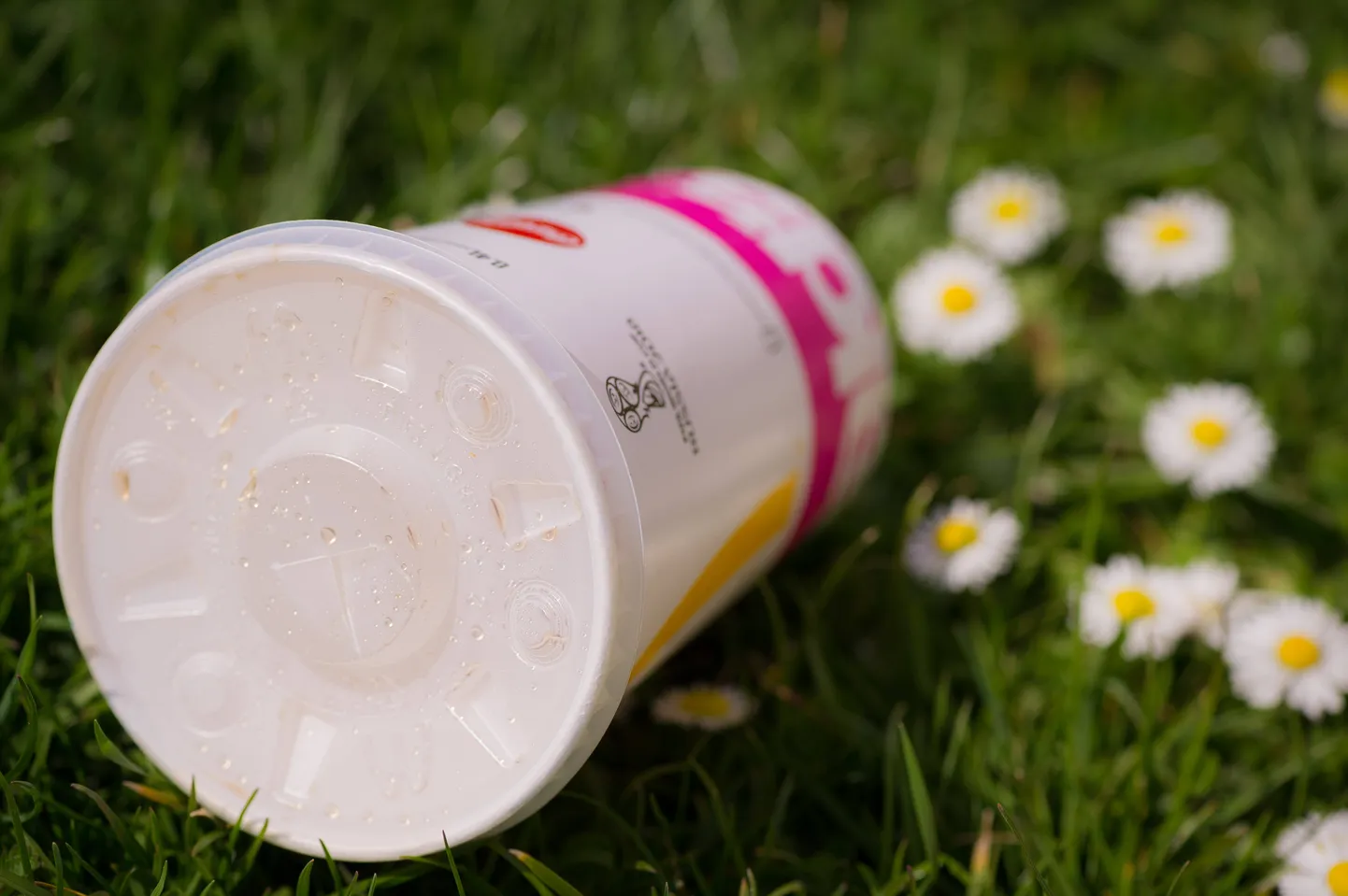 Ühekordne plastik on loodusele paras häda ja viletsus. Toitu on teisiti aga pakendada väga keeruline.