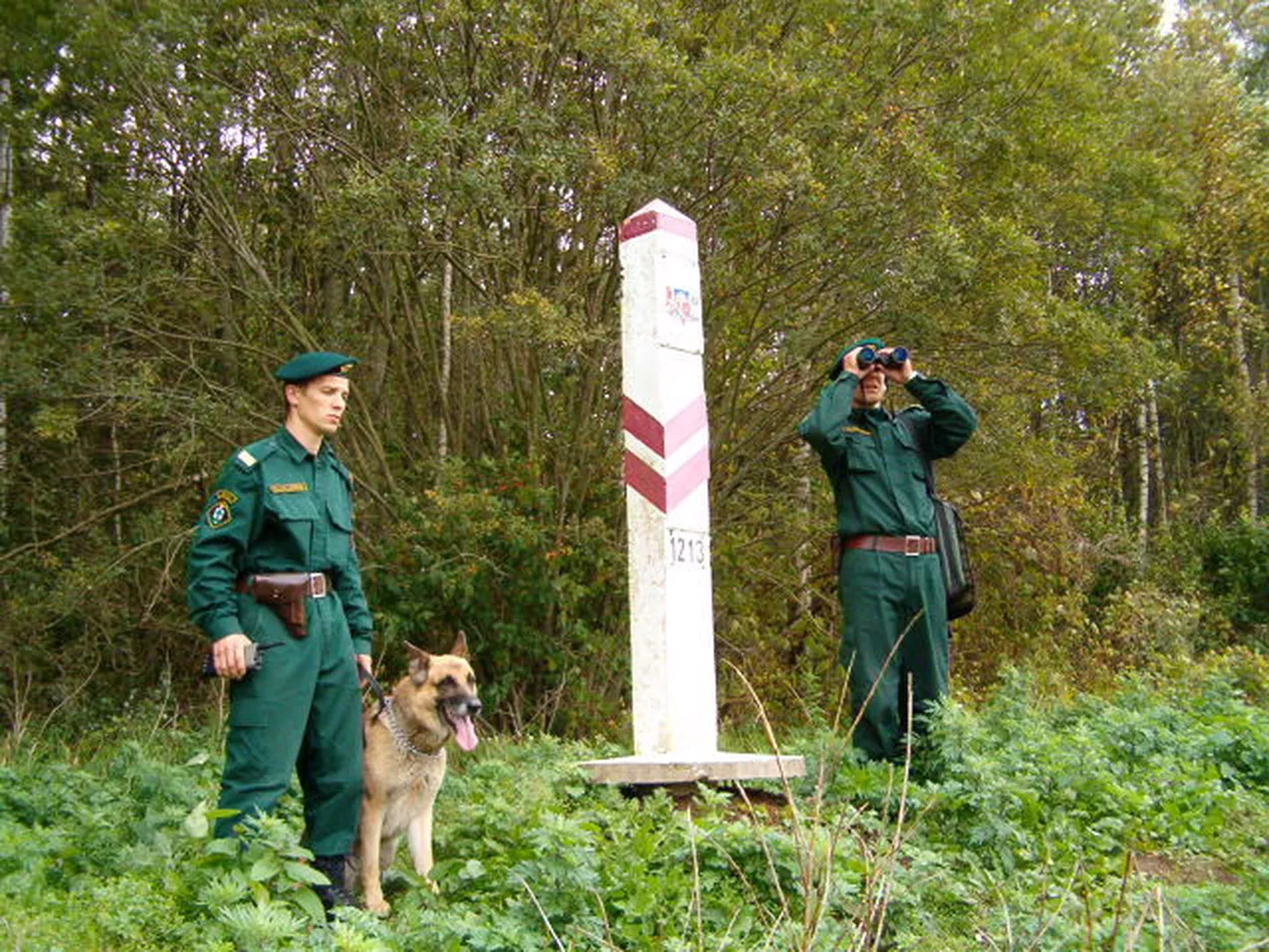 Raksta foto