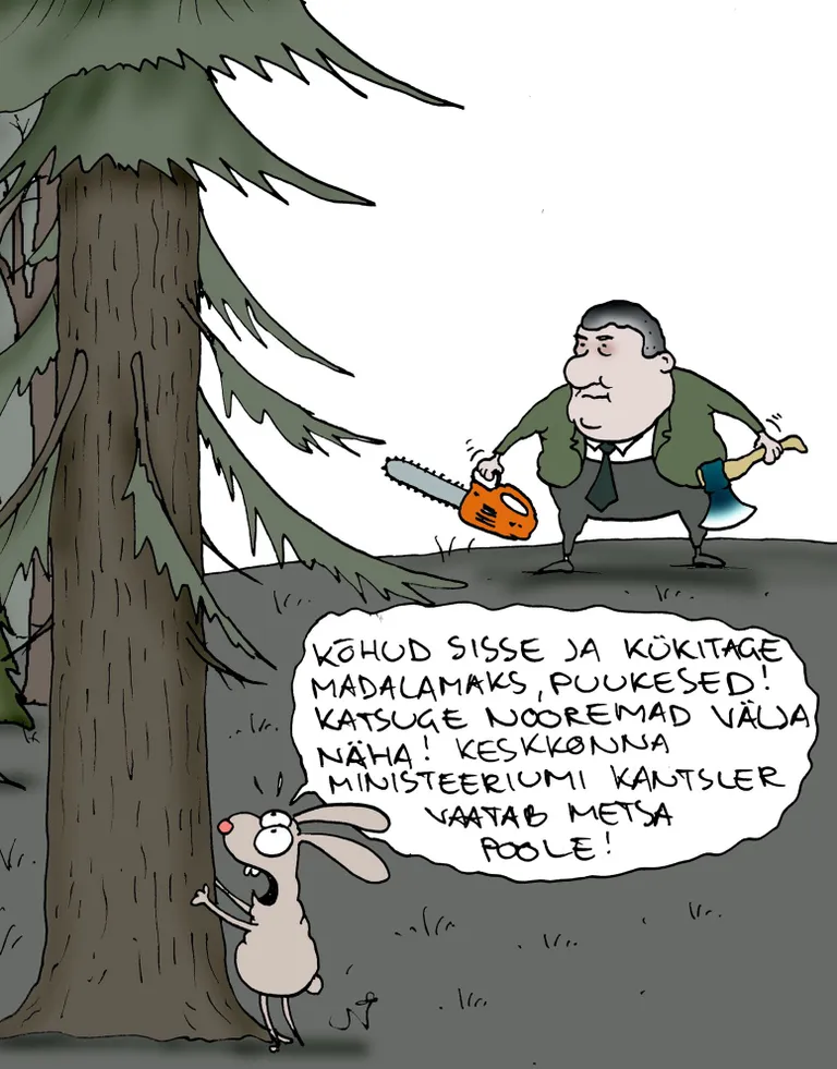 Artikli foto