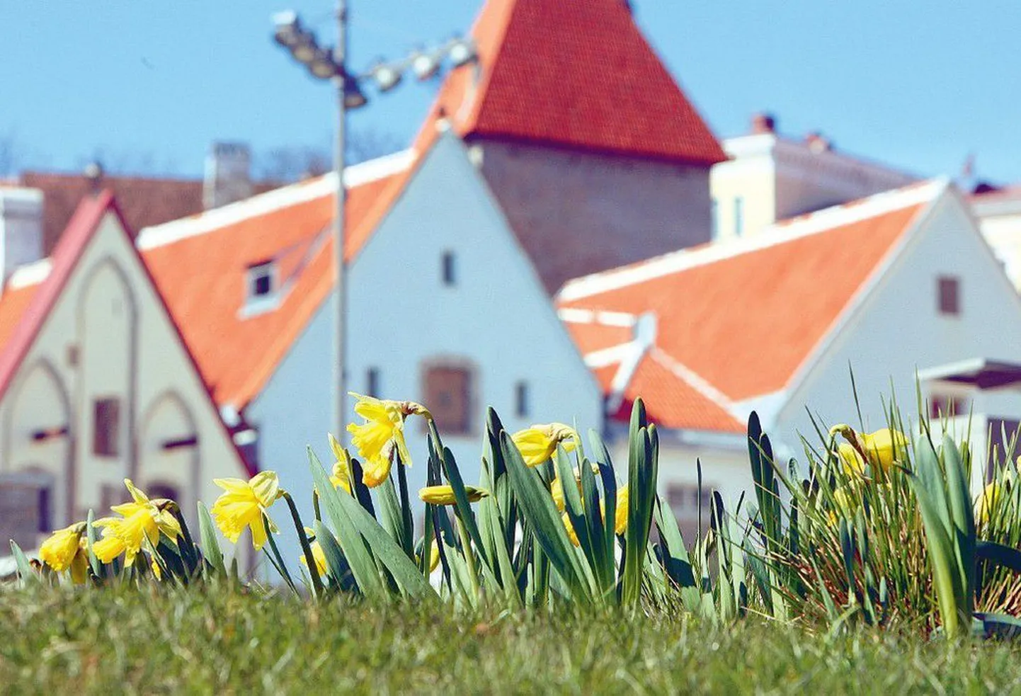 Старый город.