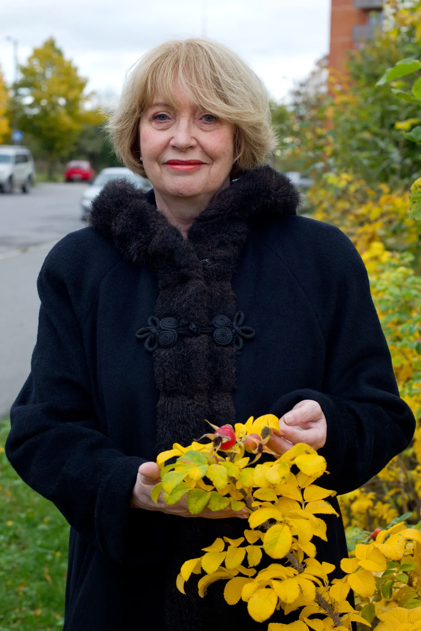 Ene Järvis