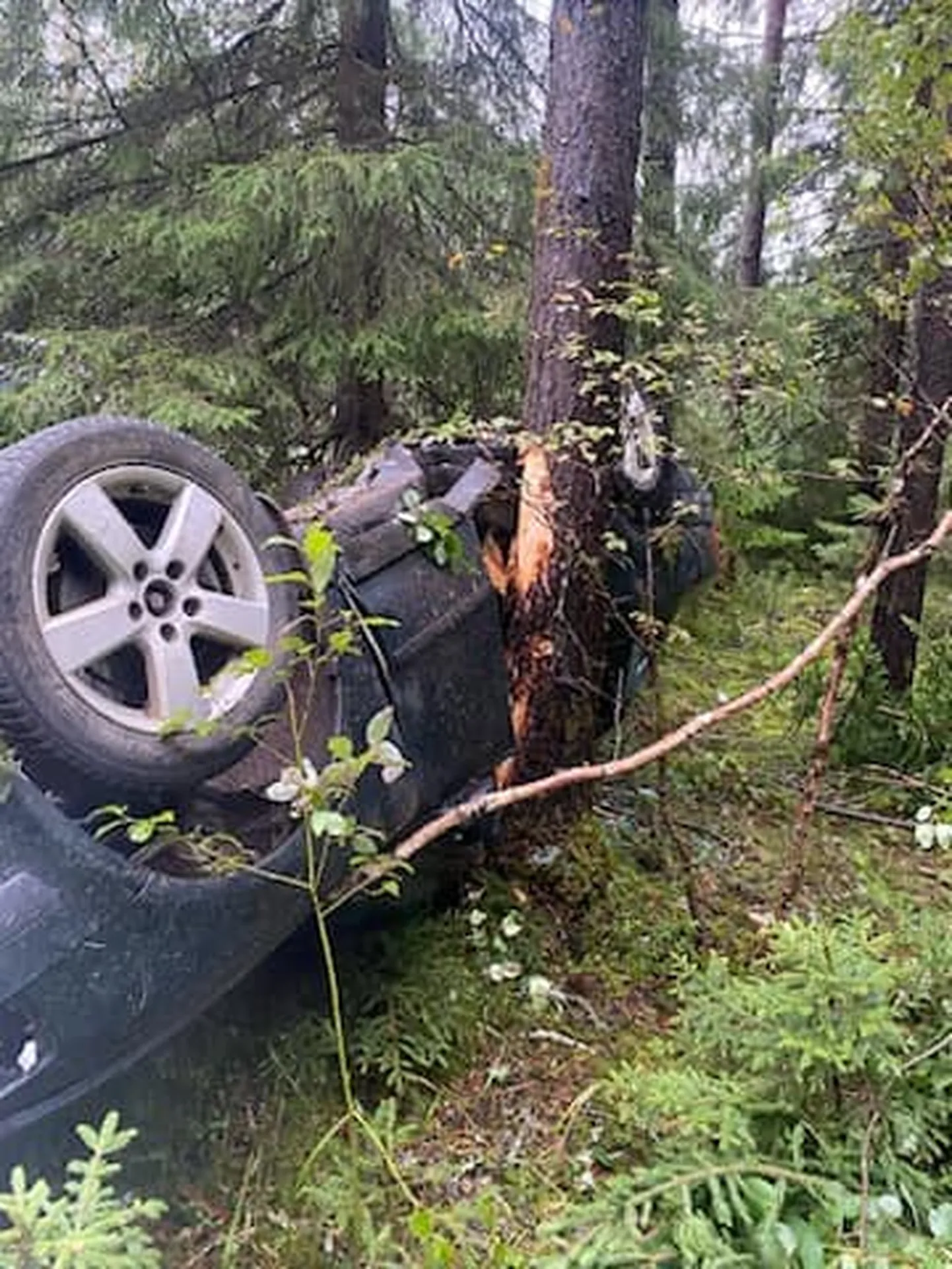 Liiklusõnnetus Aravete lähistel