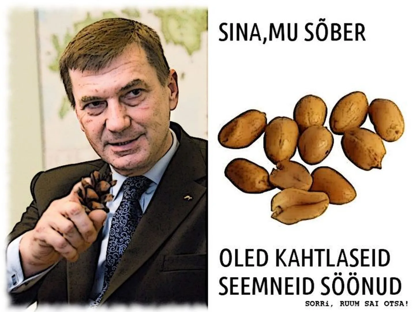 Peaminister Andrus Ansipi ACTA-teemalistest avaldustest on Internetis hakanud levima ohtralt anonüümseid vaimusünnitusi.