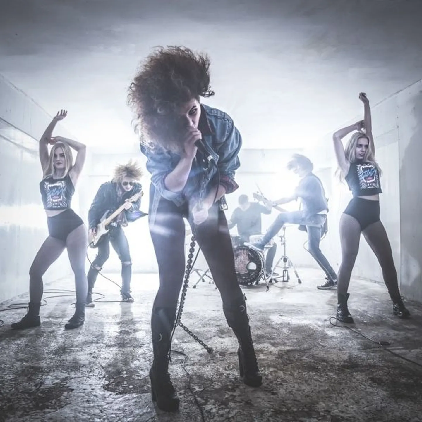 Ansambel Ziggy Wild