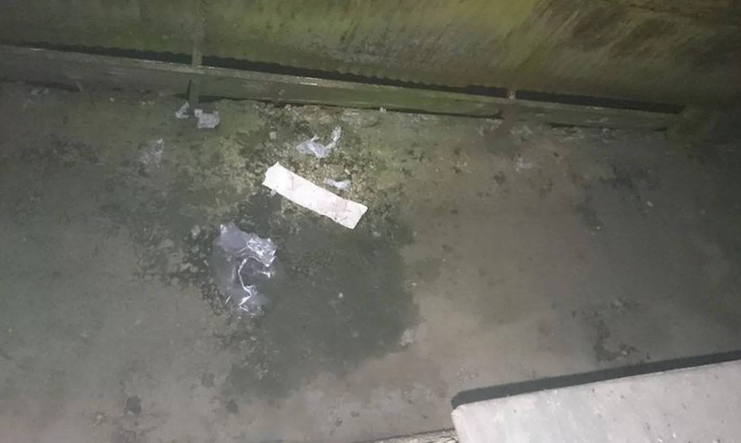 Вчера в Тартумаа подростки забросили на балкон жилого дома бомбочку из средства для чистки труб.