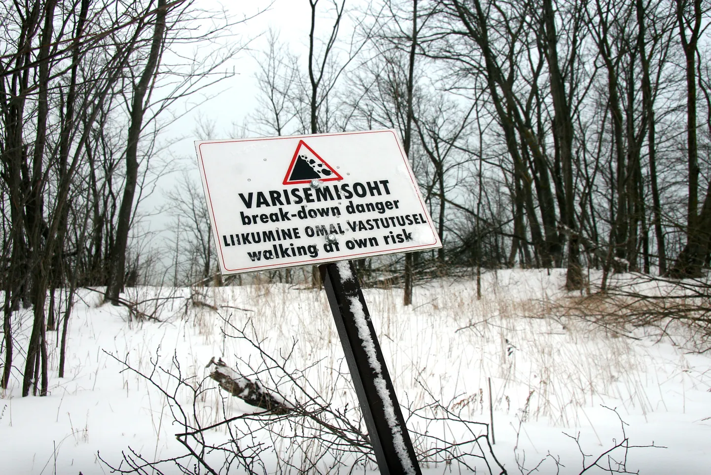 Endise Kohtla vallavalitsuse kaks aastat tagasi paigaldatud hoiatavatest siltidest on teadaolevalt alles vaid üks − paarsada meetrit Valaste joast Ontika poole.