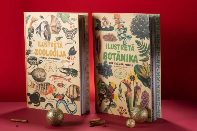 Raksta foto