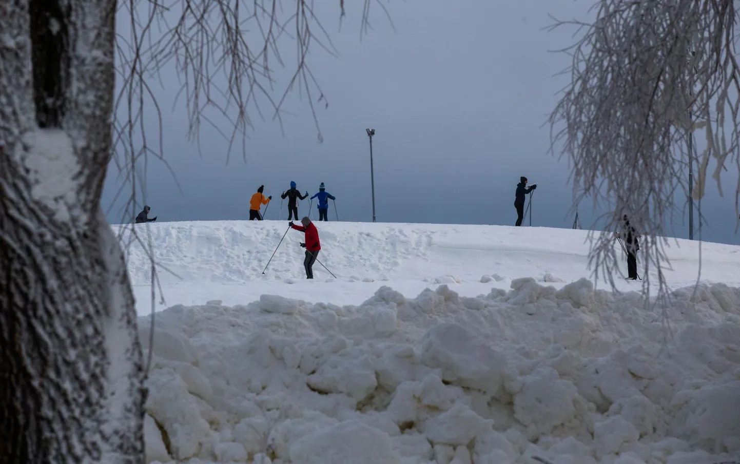 Tähtvere spordipargis jätkus eile lõunaajal nii lund kui ka talverõõmude nautijaid.