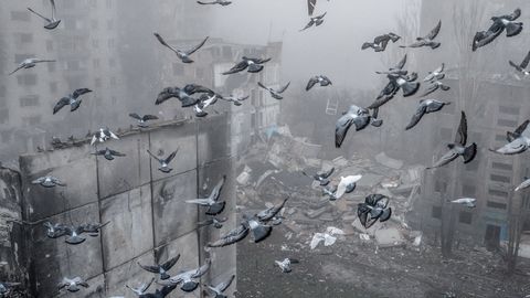 Trump sõnutsi on Ukraina kaotamas. Rindeohvitserid väidavad vastupidist