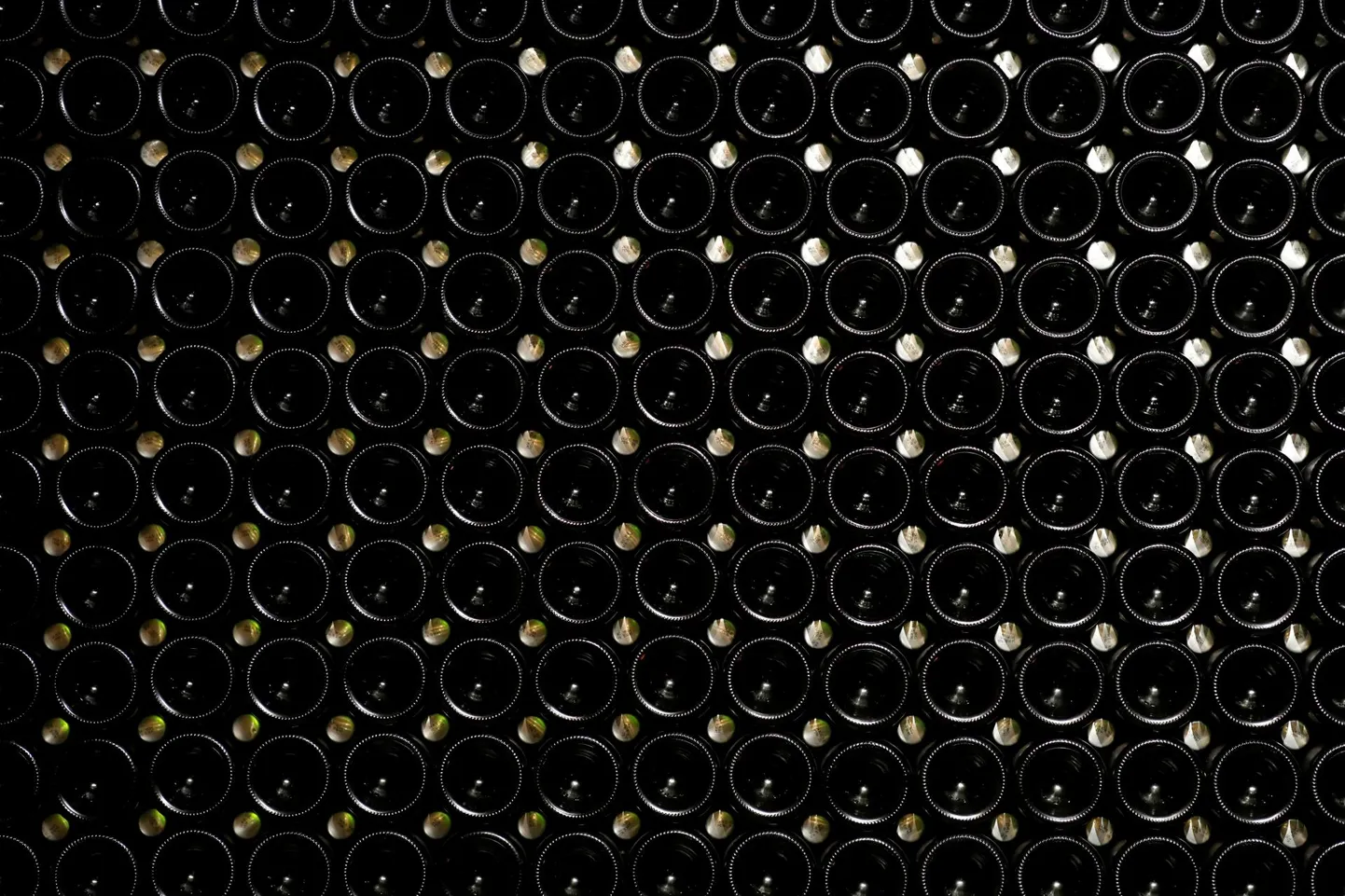 Pudelid šampanjatootja Maison Mumm keldris Reimsis.