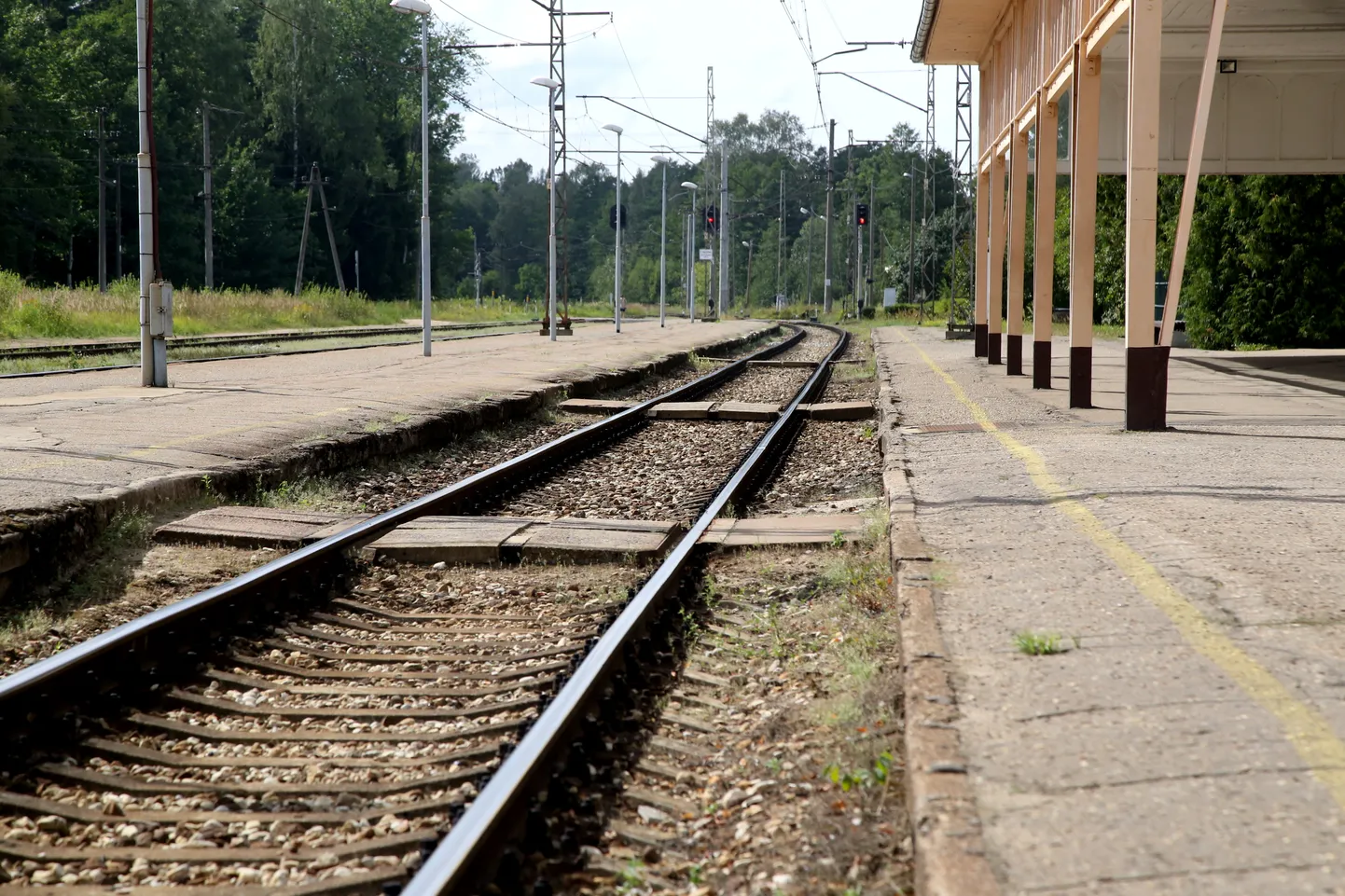 Raksta foto