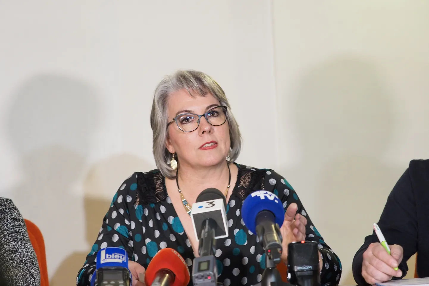 Üks kollavestide liikumise algatajaid, 51-aastane Jacline Mouraud teatas täna peetud pressikonverentsil erakonna Les Émergents asutamisest.