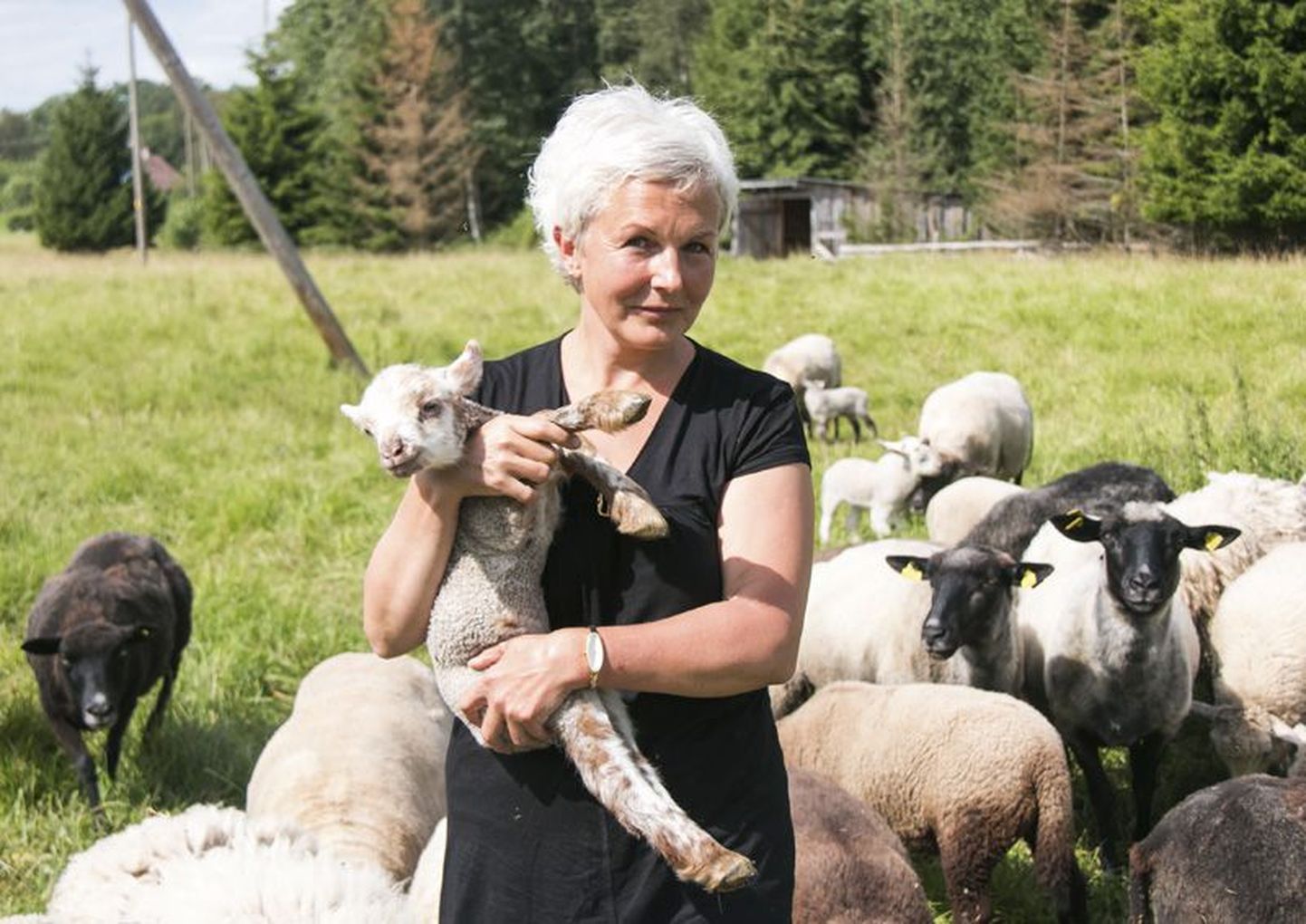 Suure loomaarmastajana arvab Heli Napp, et kõigil lastel võiks olla võimalus loomade eest hoolt kanda ja nendega kokku puutuda.