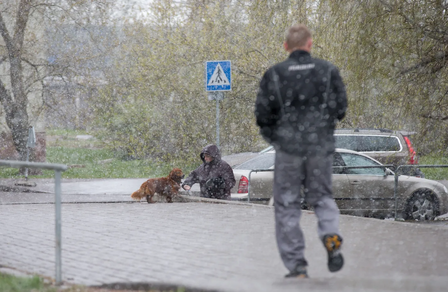 Esmaspäeval on muutliku pilvisusega ilm. Foto on illustratiivne.