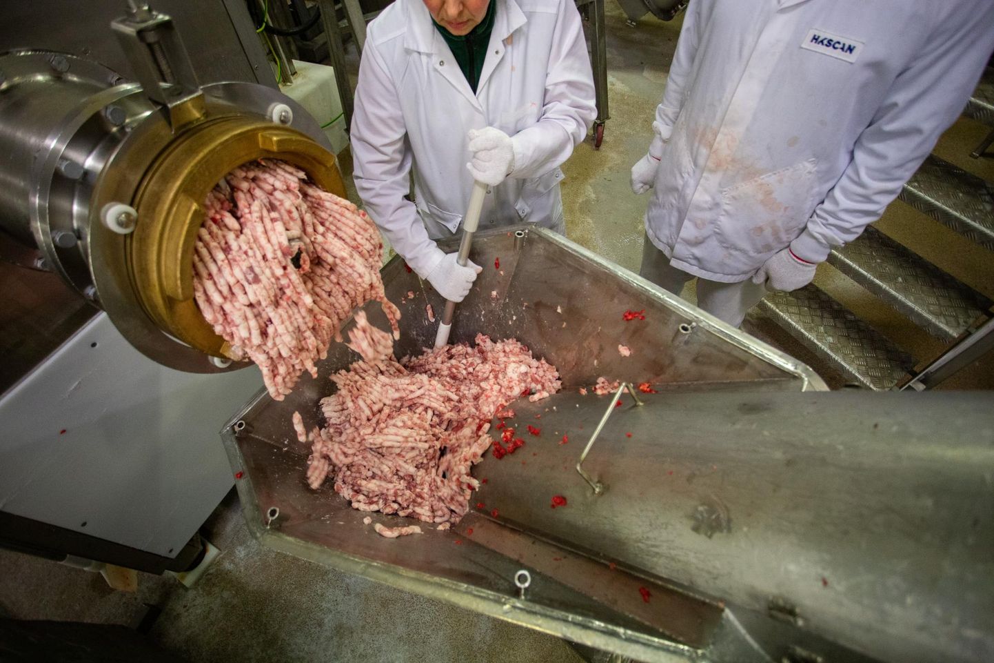 Hakkliha valmistamine HKScani Rakvere lihatööstuses: suurema rasvasisaldusega hakkliha on valmistatud rasvasemast lihast, näiteks sea esiosa läbikasvanud lihast, väiksema rasvasisaldusega seahakklihades on kasutusel taine sealiha sea tagaosast.