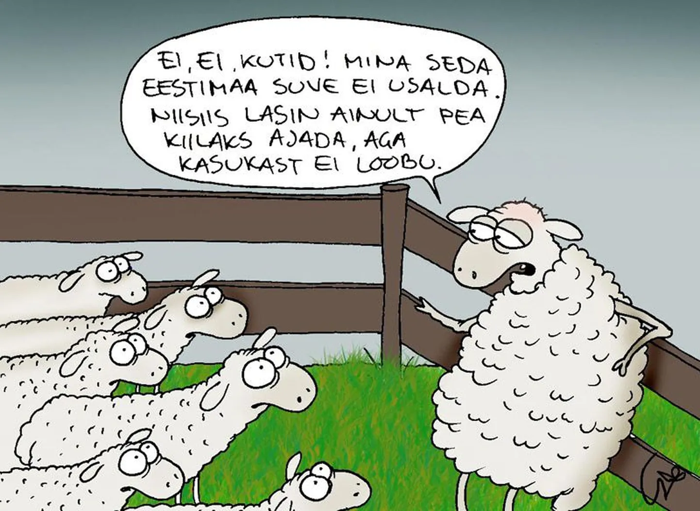 Artikli foto