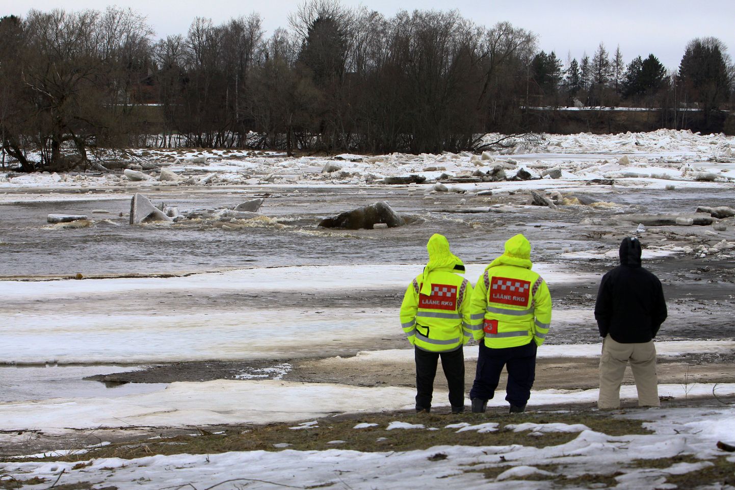 Üle kallaste tõusnud Pärnu jõgi uputas Sindis Auli ja Pardi tänavat.