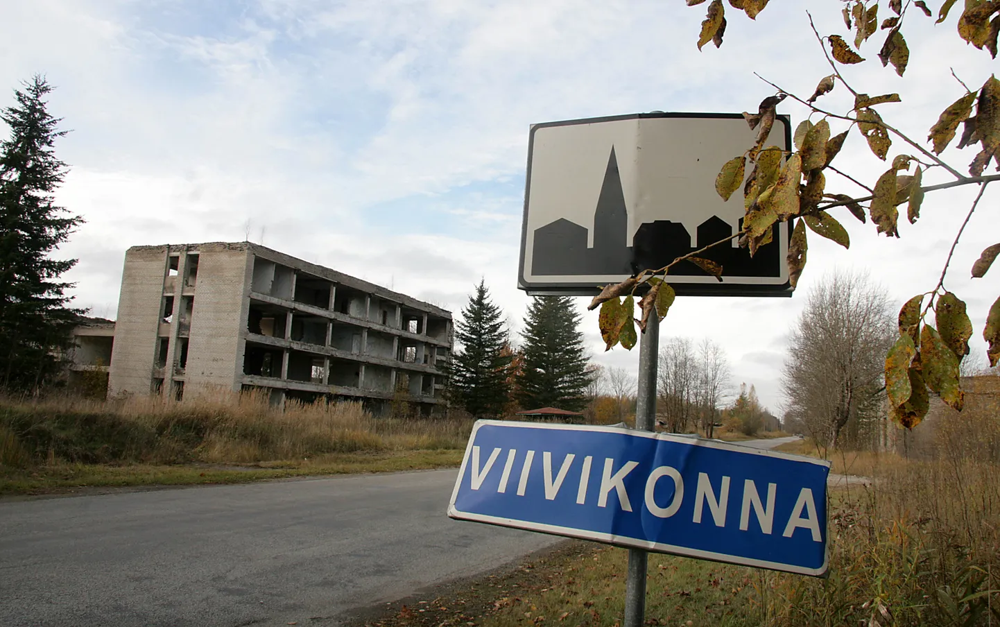 Депрессивные виды поселка Вийвиконна.