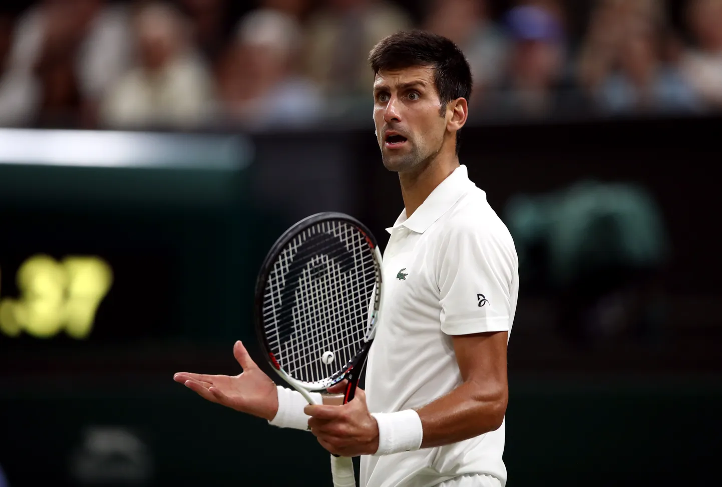 Novak Djokovic.
