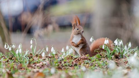 Otrdien gaiss Latvijā iesils līdz +13 grādiem