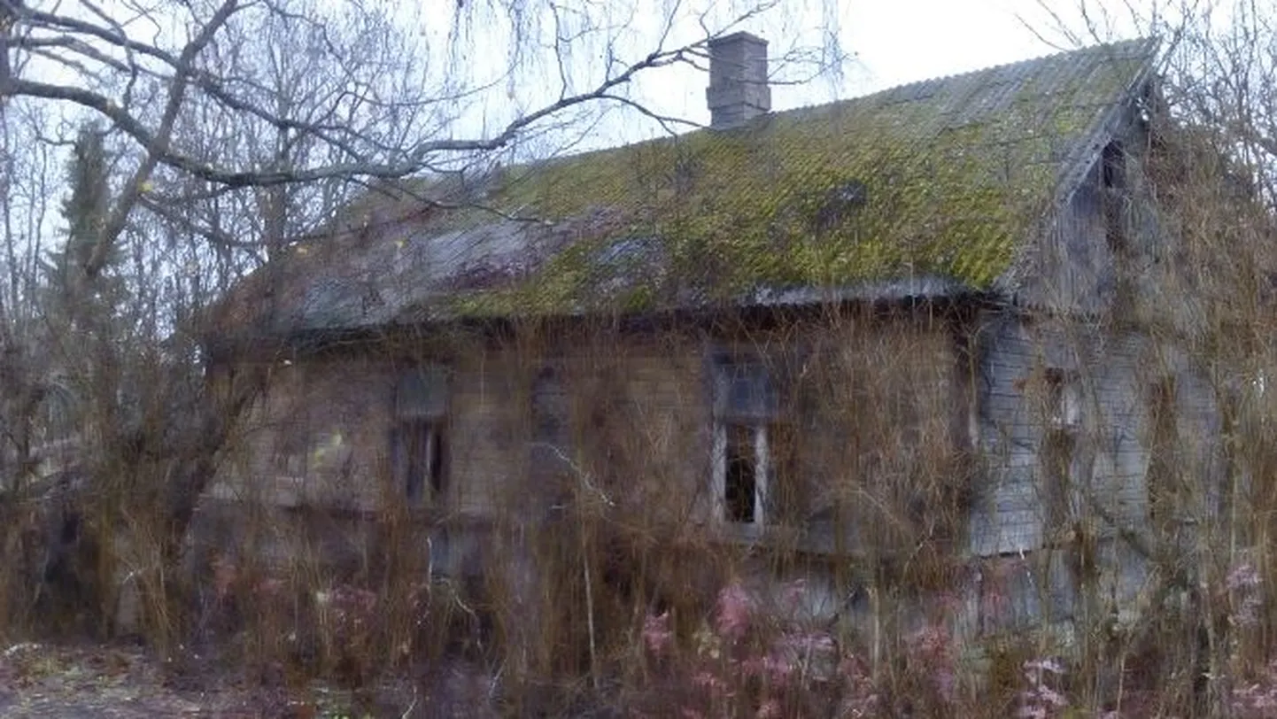 Vallavalitsus müüb enampakkumisel Järva-Jaanis Kalda 21 kinnistut.