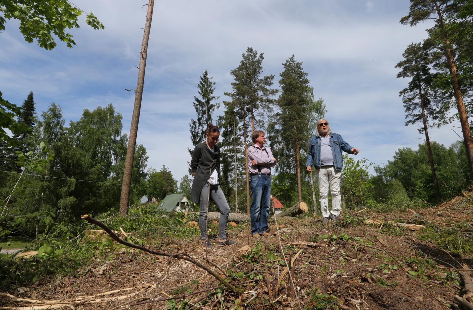 Kärt Johanson (vasakult), Juhani Püttsepp ja Tõnis Mägi ei mõistnud otsust Peedumäe metsatukk hõredaks raiuda.