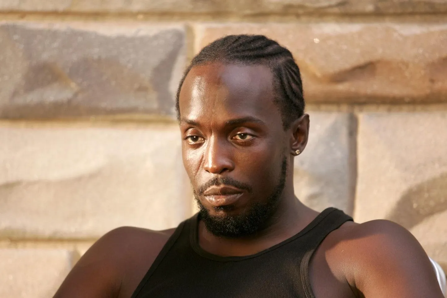 Michael K. Williams mängib üht seriaali «The Wire» põhitegelast, Omar Little&#39;it.