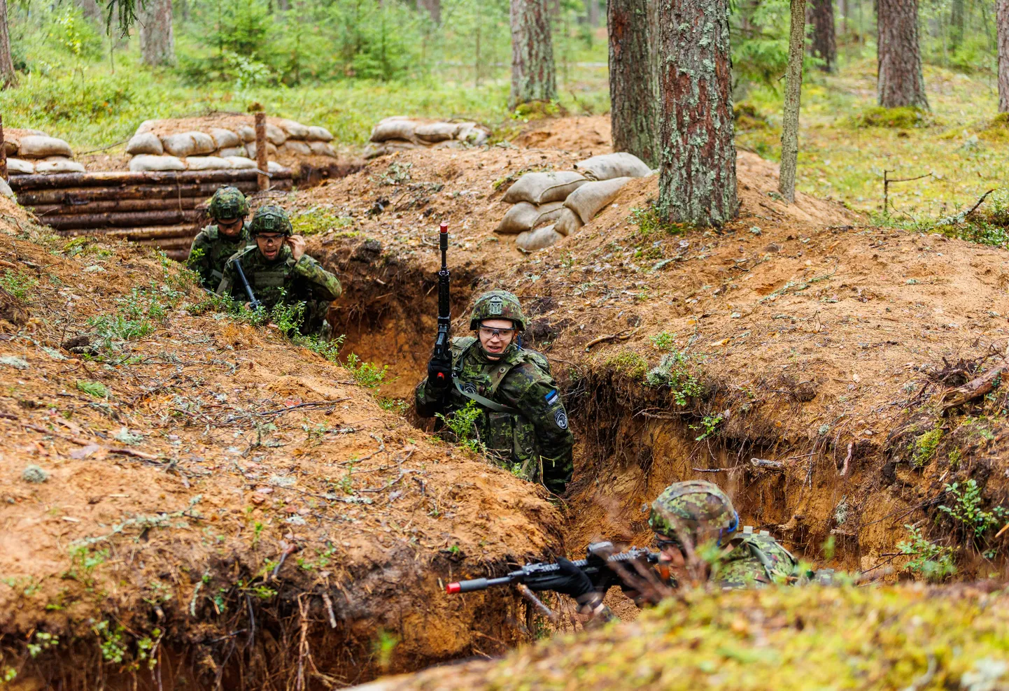 Kaitseväe Nursipalu harjutusväljak.