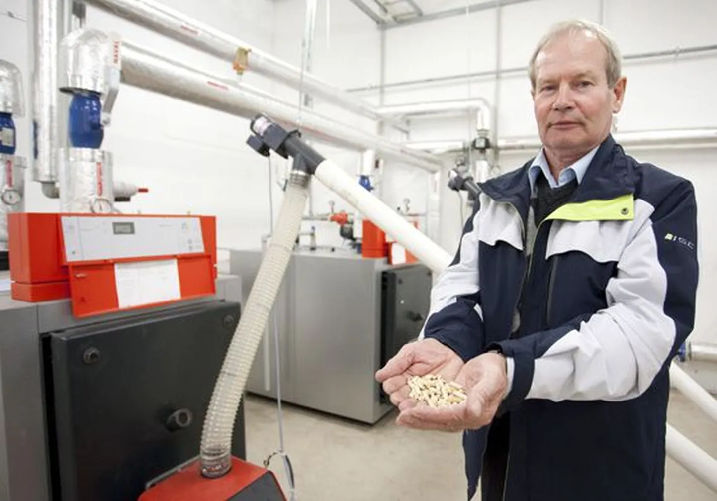 ASi Pelletiküte juhatuse esimees Rein Kutsar näitab saepurugraanuleid ehk pelleteid, mida pärast katlamaja ümberehitamist Muuga kooli kütmiseks kasutatakse.
