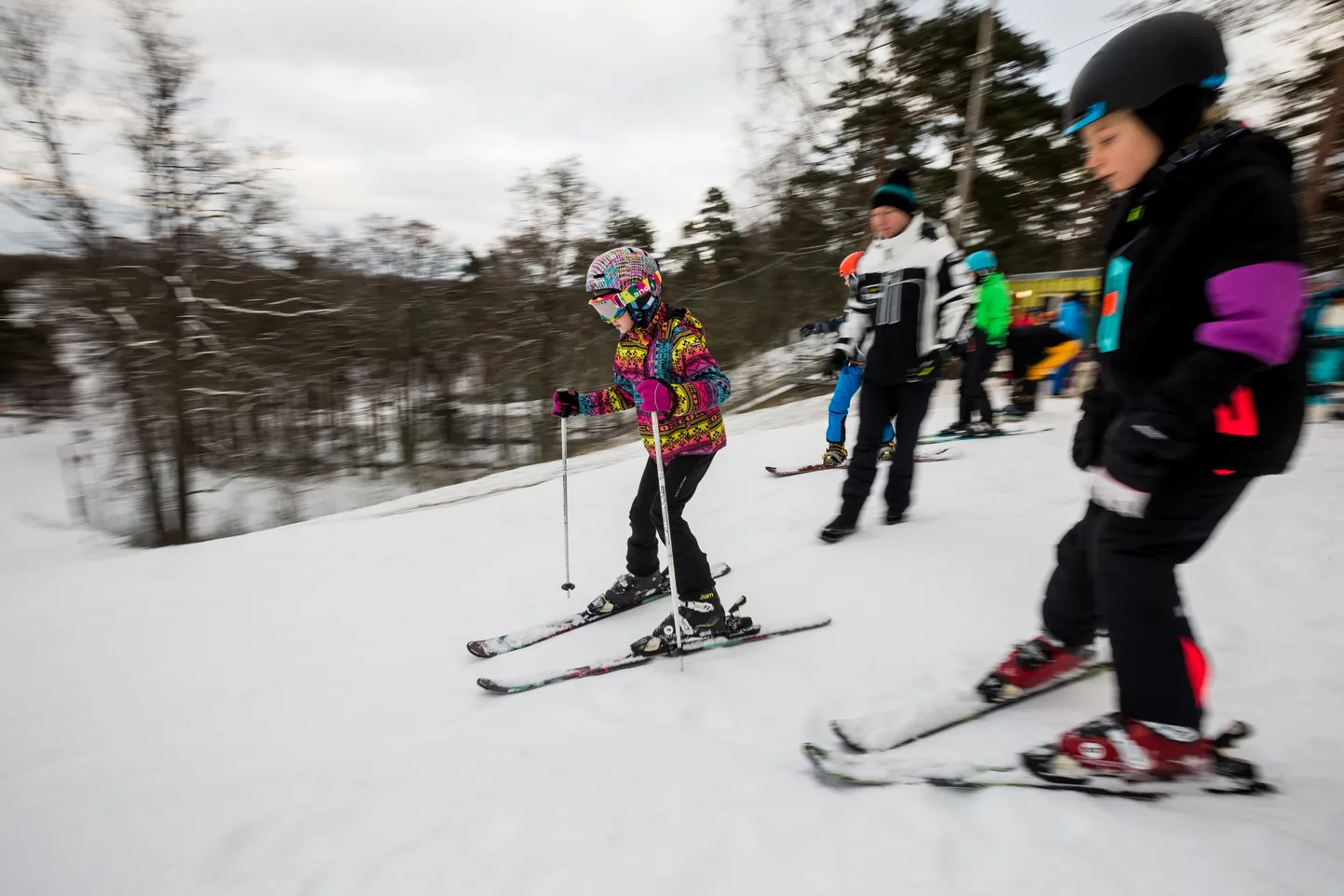 FISi Rahvusvaheline Lumepäev