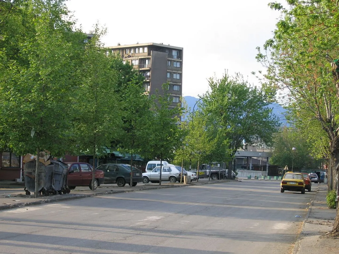 Bori linn.