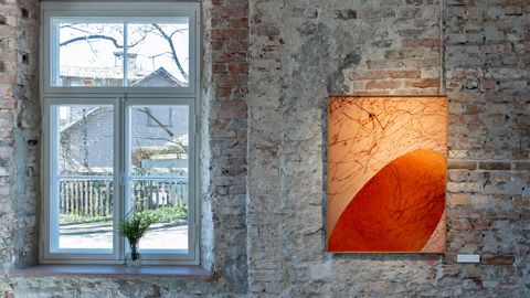 Kuus kunstnikku uurivad, kui raske on kujutada kergust