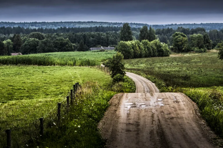 Raksta foto