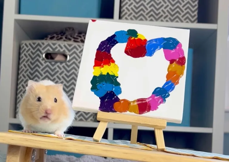Picasso-hamster. Armas näriline nimega Marshmallow plätserdab kokku uhkeid maale. Peale igat kunstiseanssi premeeritakse teda kurgiviiluga.