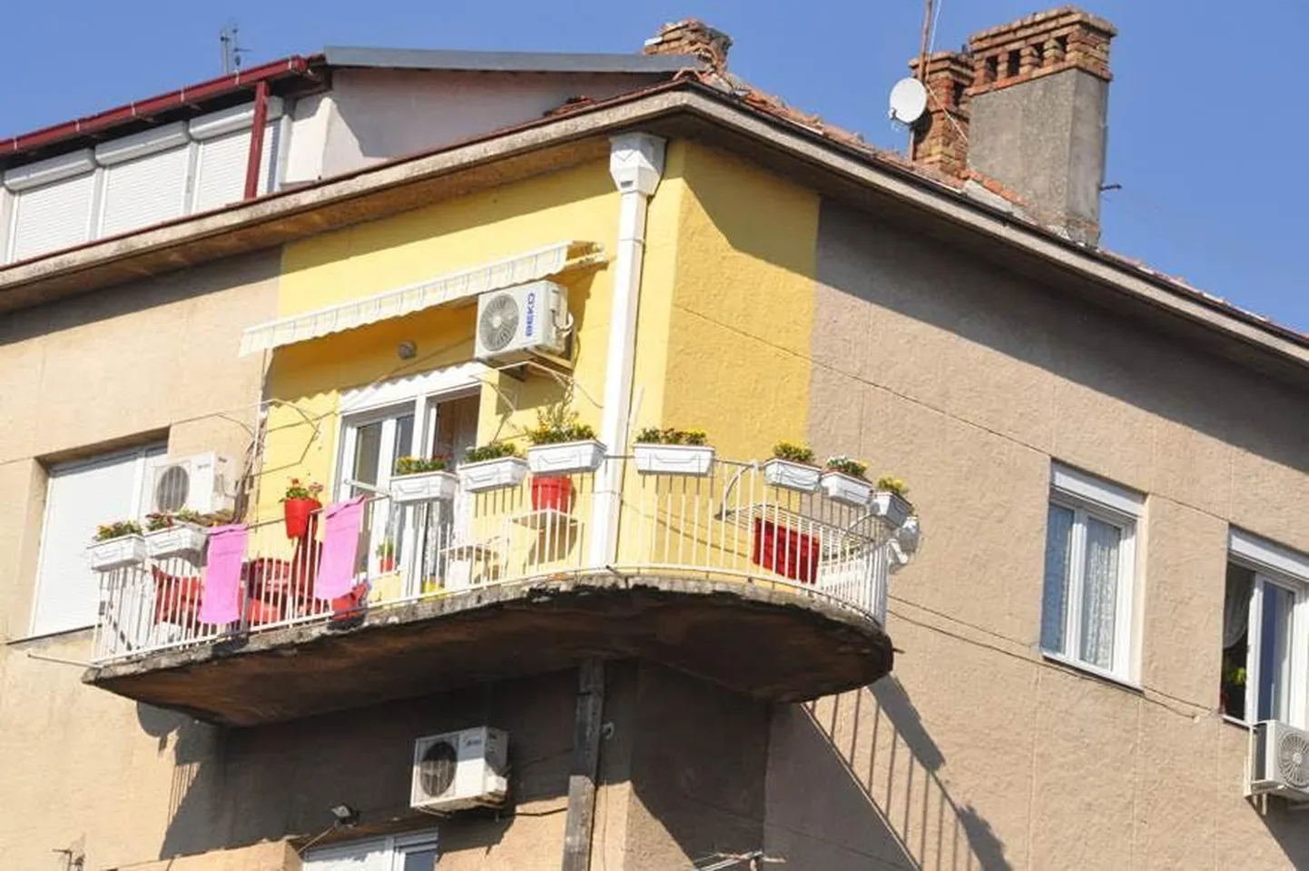 Artikli foto