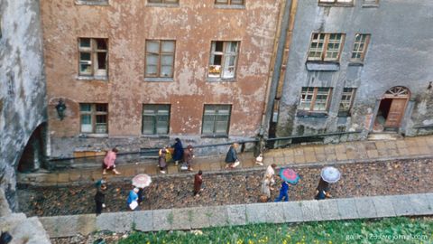 Tallinna Vanalinna peatse surma jutud on tugevasti liialdatud: haigused on tõsised, kuid ravitavad