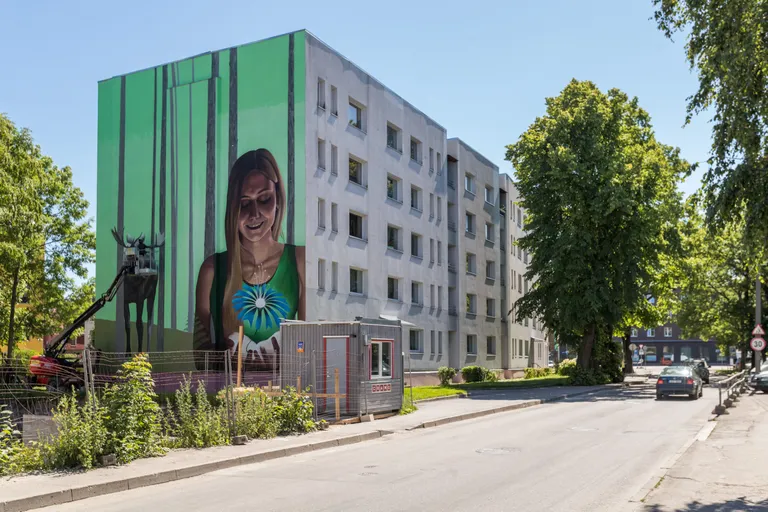 Seinamaaling Tallinnas Vana-Kalamaja tänaval