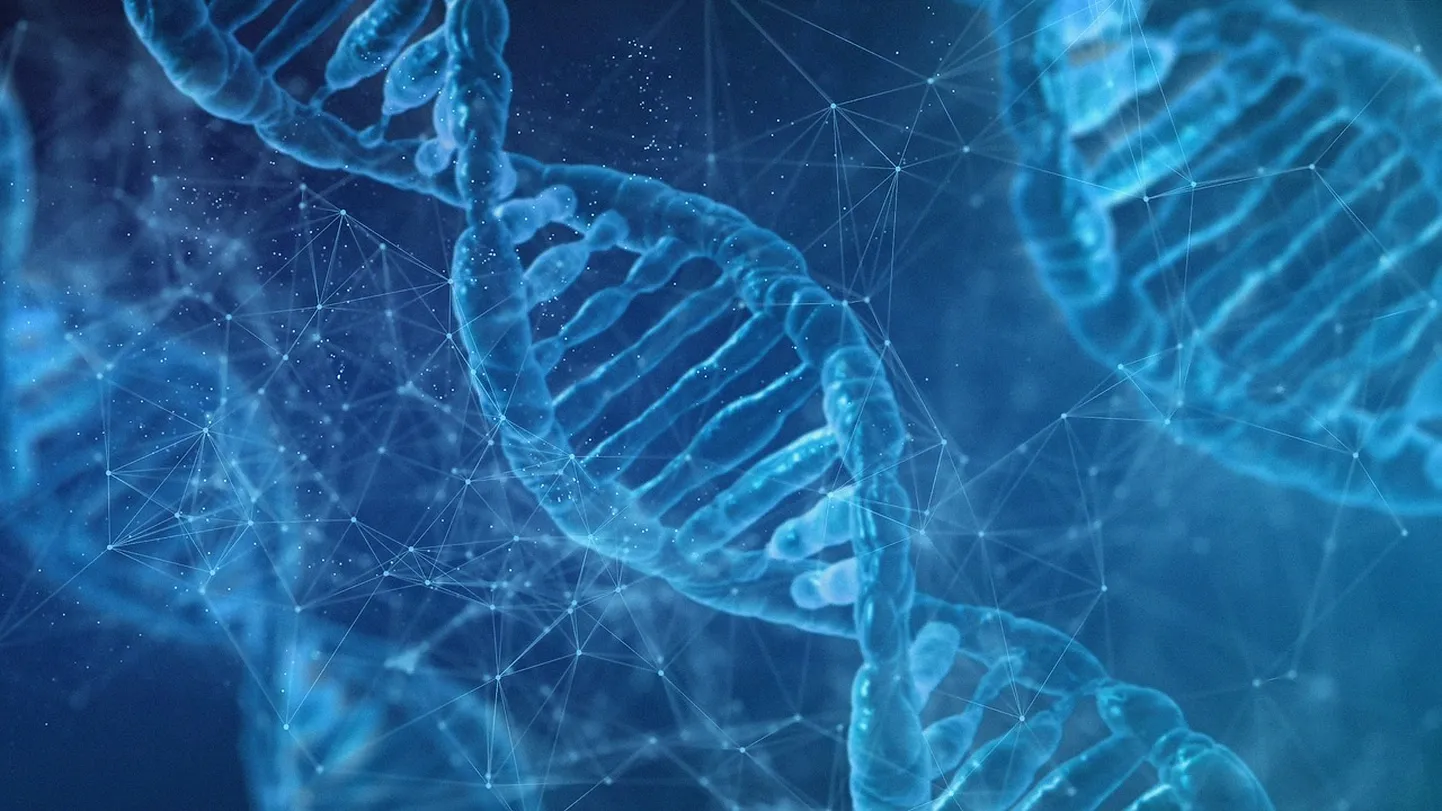 DNA-l, millel on kaksikheeliksi struktuur, võib olla palju geneetilisi mutatsioone ja variatsioone.